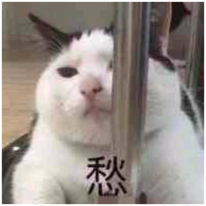 午夜福利视频250
